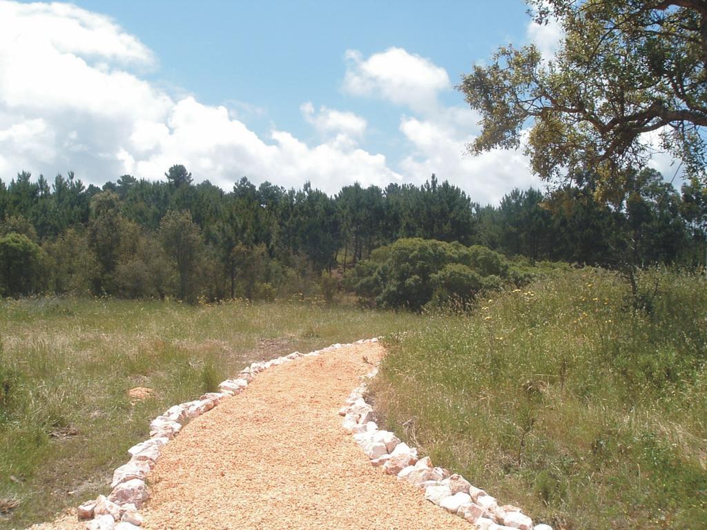 Monte Da Xara Villa Aljezur Rum bild